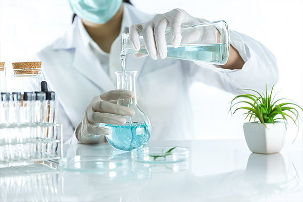 Diploma in Pharmacy (D.Pharm) Programme: PCI Approved